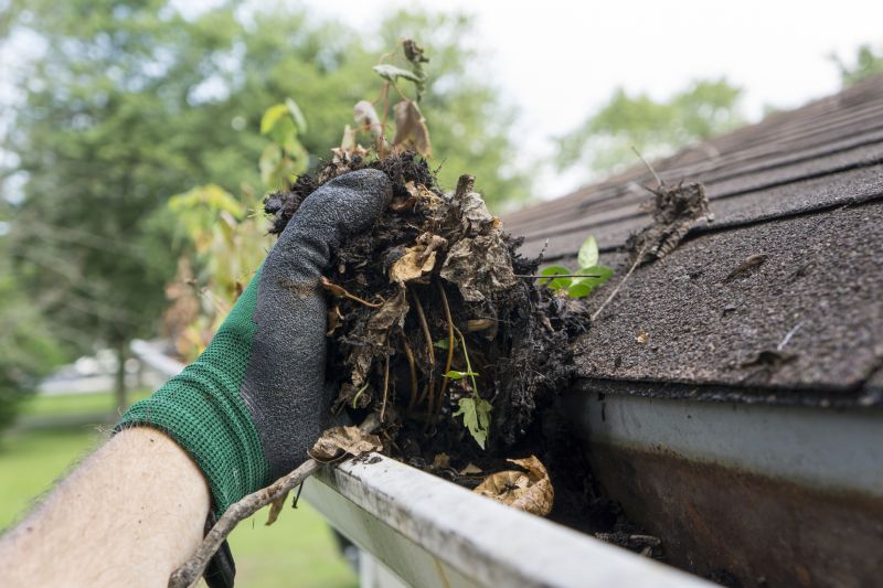 Clogged Gutter Clearing in Longmont, CO