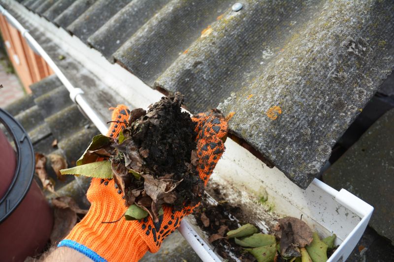 Gutter Leaves Removal in Baltimore, MD