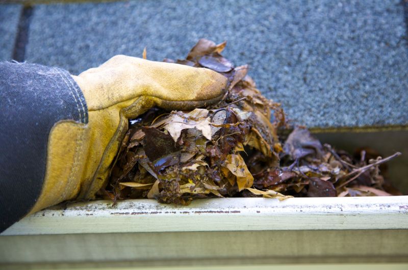 Gutter Leaves Removal in Monmouth County, NJ