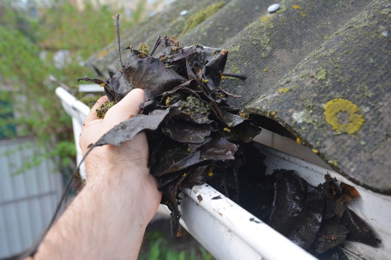 Gutter Pine Needle Removal in Monmouth County, NJ