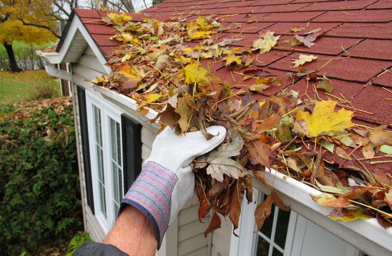 Gutter Pine Needle Removal in Fredericksburg, VA