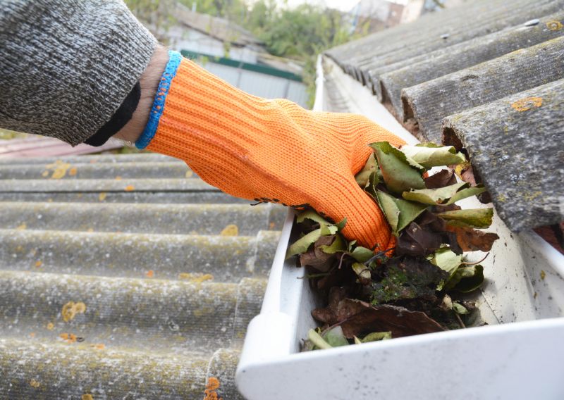 Commercial Gutter Cleaning in Denver, CO